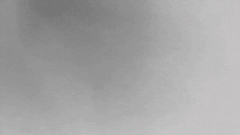 Shenzy Opening Gif, an stop motion pencil animation that draws the word Shenzy and then many other words associated with the website.